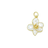 Charms